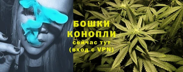 гидропоника Мегион